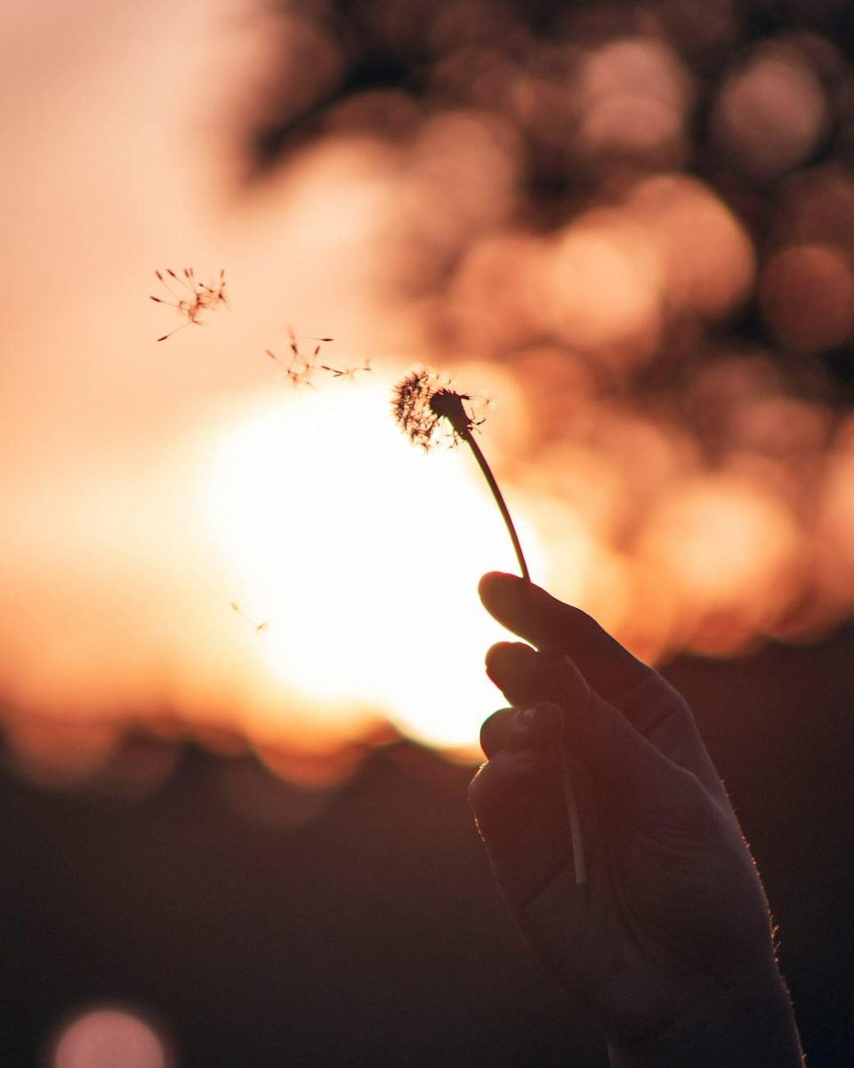 Whispers of a Wish