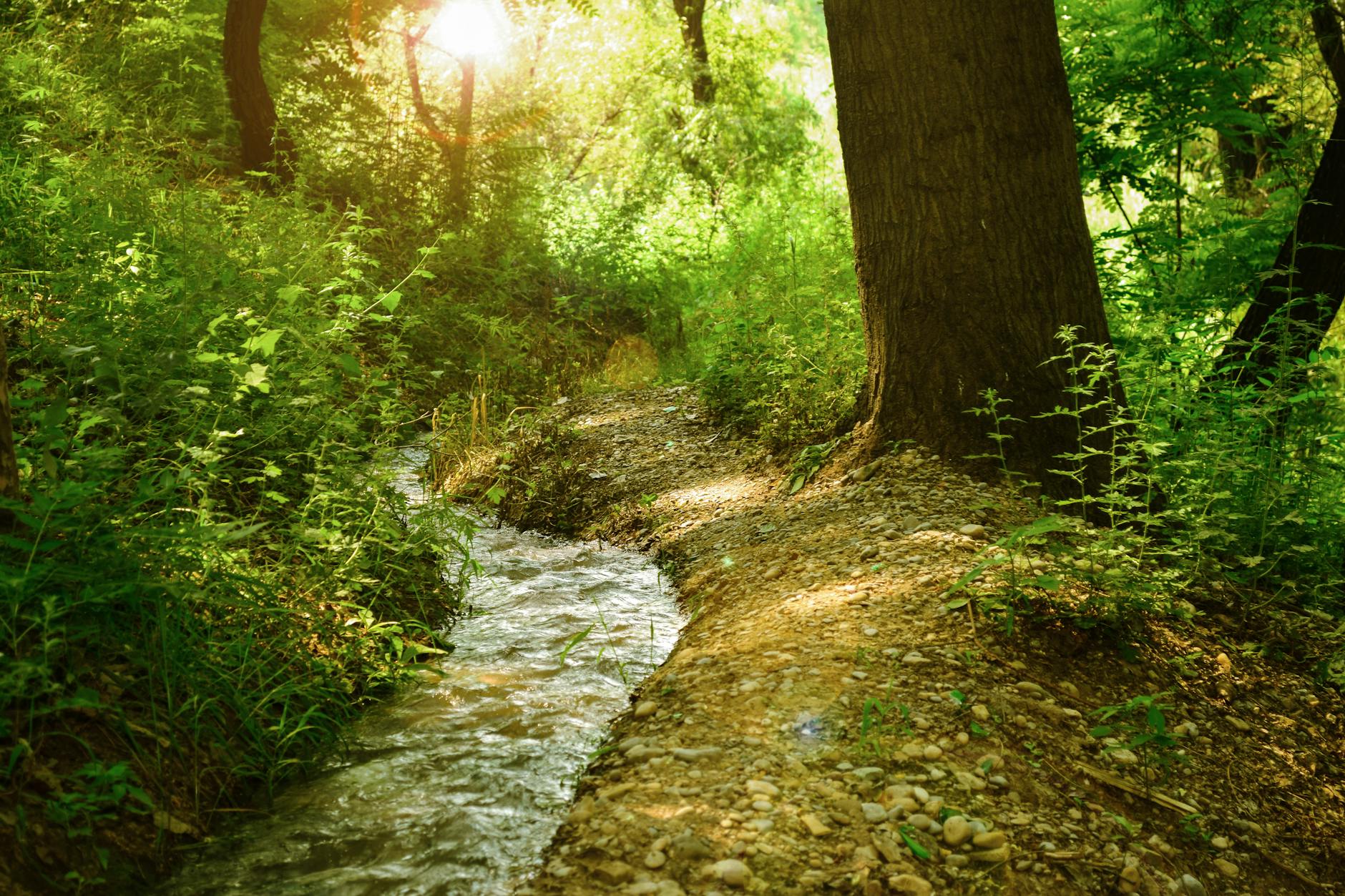 The Way She Listened – How Being Heard Changed Me