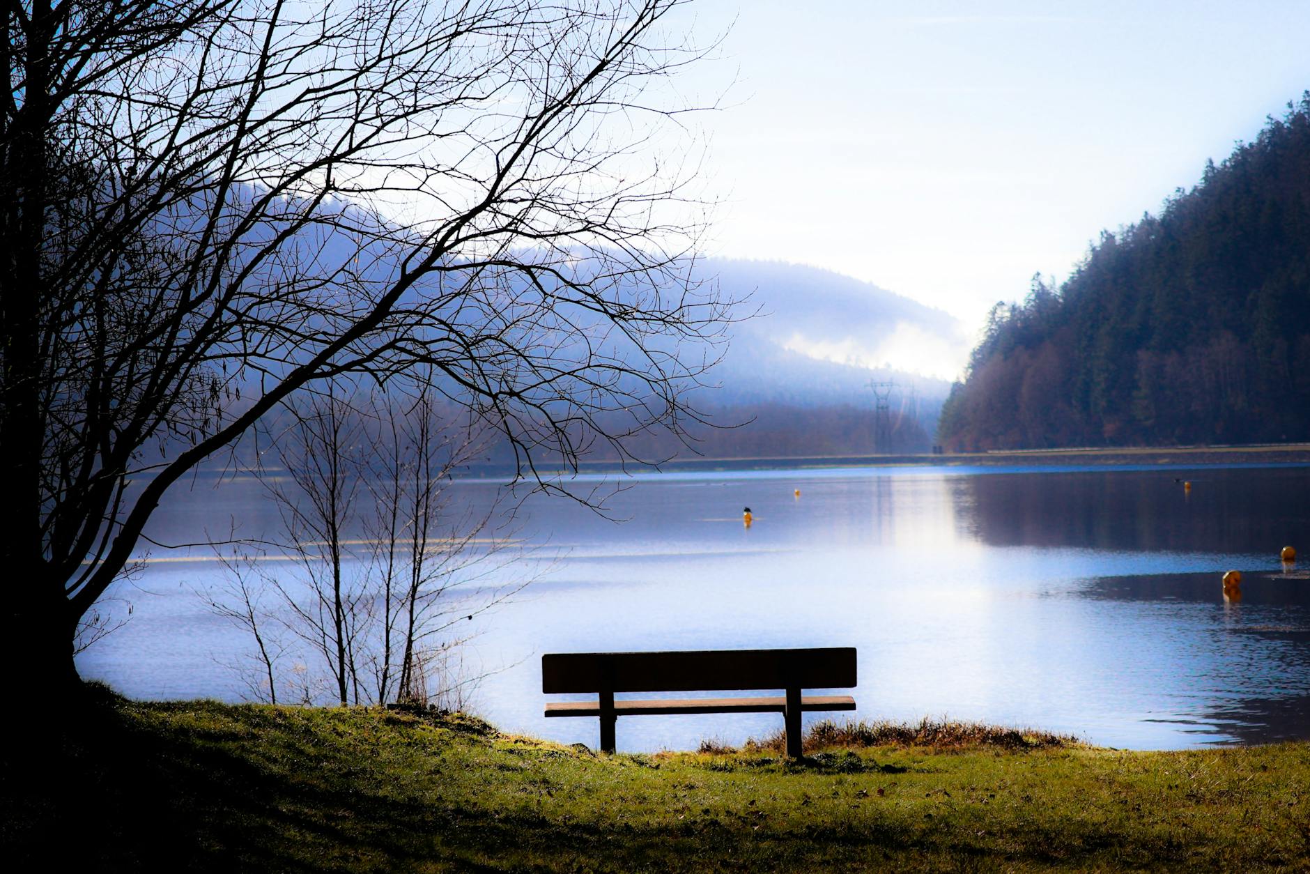 The Little Things I Notice Now